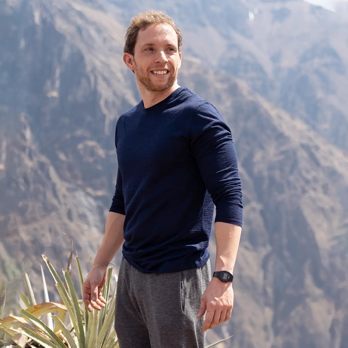 Imagen del metafield