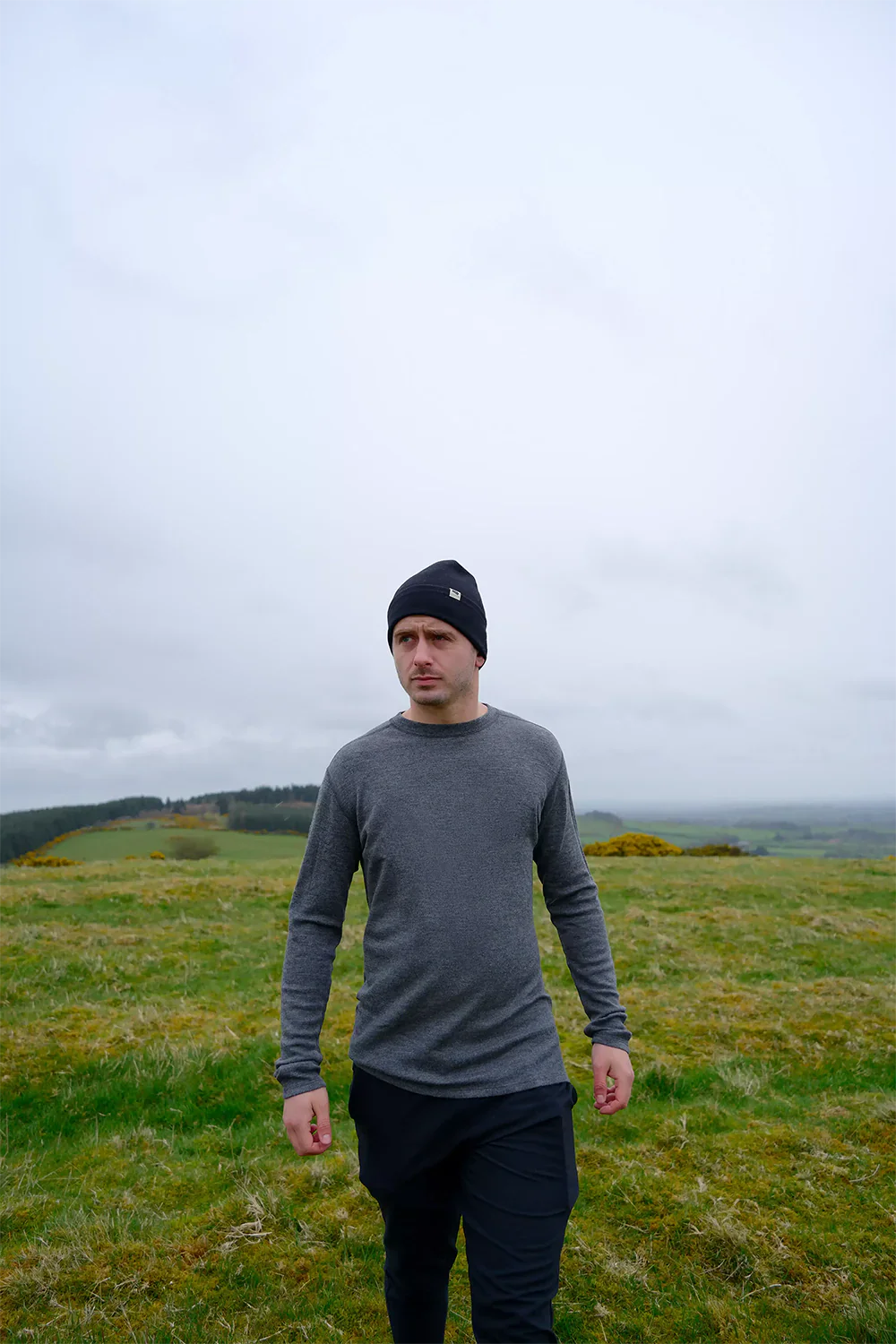 Imagen del metafield