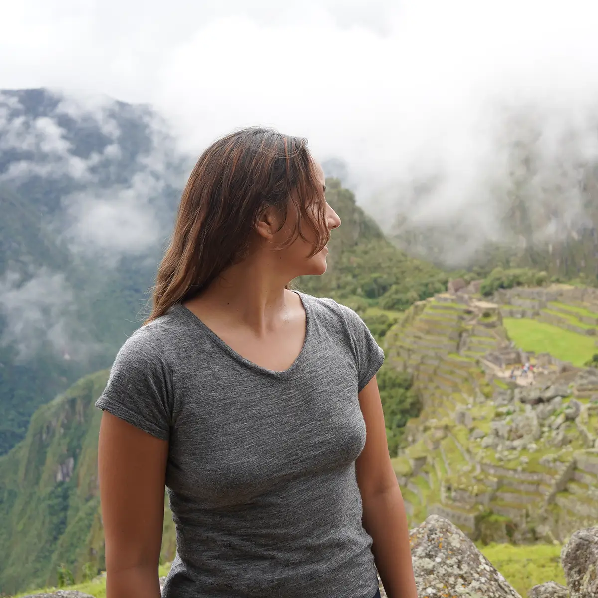 Imagen del metafield